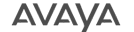 Logotipo do Parceiro Avaya